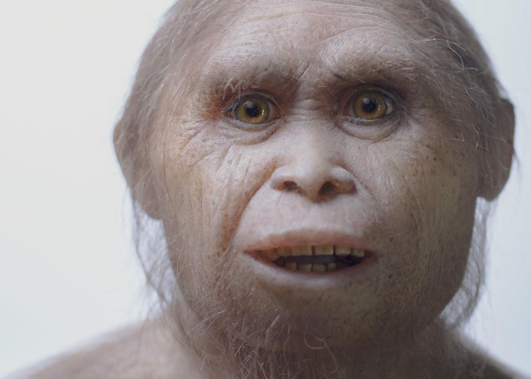 Controversial Theory: Ancient ‘Hobbits’ Are Still Alive